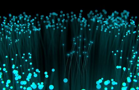 optical fiber